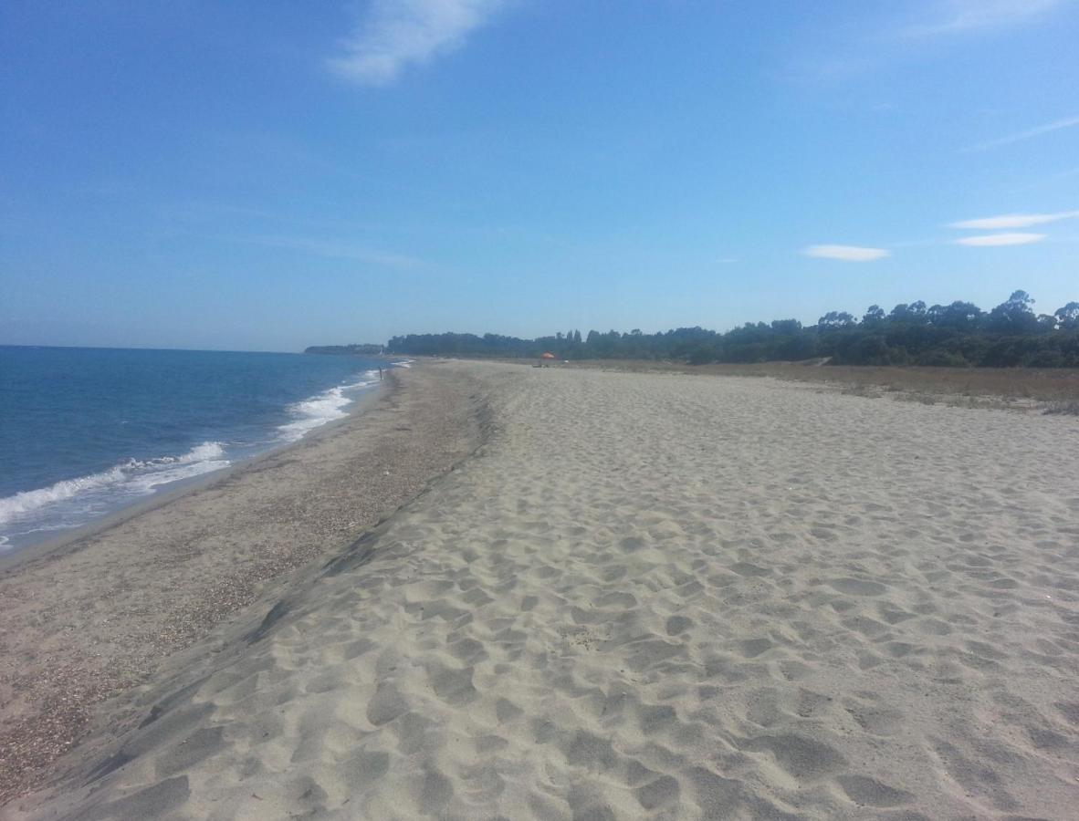 Appartements Bord De Mer - Acces Prive A La Plage Prunete Kültér fotó