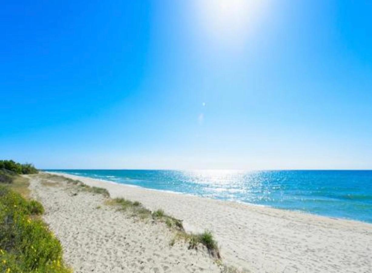 Appartements Bord De Mer - Acces Prive A La Plage Prunete Kültér fotó